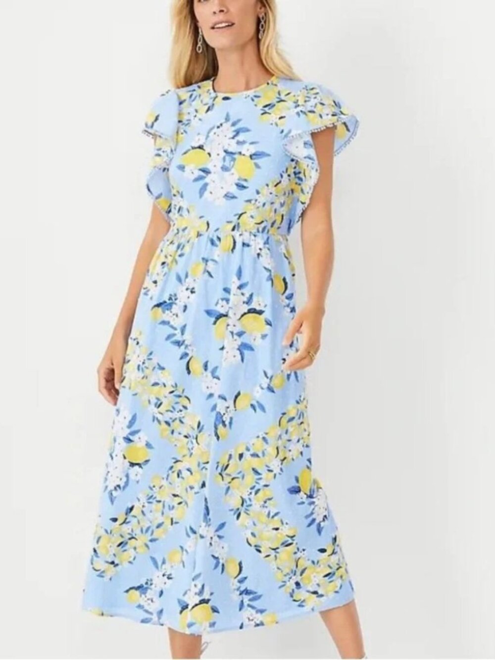 Ann Taylor Lemon Floral Ruffle Sleeve Cotton Maxi Dress Size S
